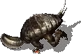 00010.webp