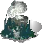 00010.webp