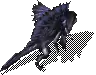 00010.webp