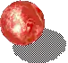 00014.webp