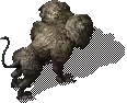 00010.webp