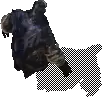 00010.webp
