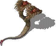00010.webp