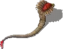00010.webp