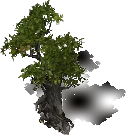 00010.webp