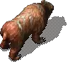 00010.webp