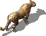 00010.webp