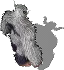 00010.webp