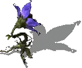 00010.webp