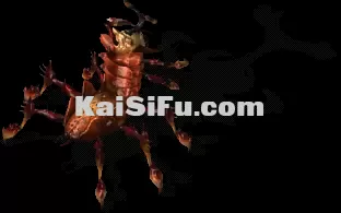 00010.webp