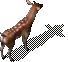 00010.webp