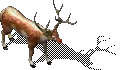 00031.webp