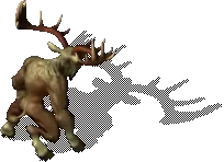 00010.webp