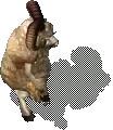 00023.webp