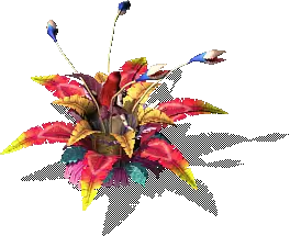 00010.webp