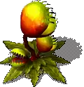 00015.webp