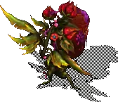 00010.webp