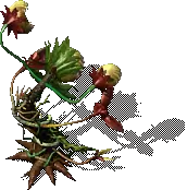 00037.webp