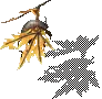 00021.webp