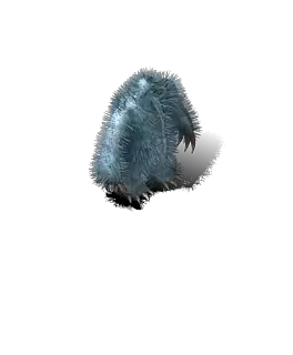 00030.webp