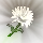 00436.webp