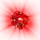 00452.webp