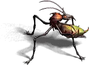00023.webp
