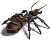 00010.webp