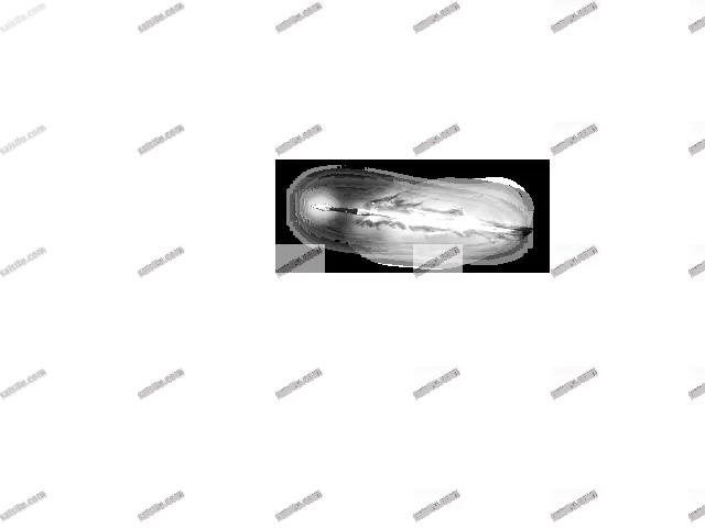 00585.webp