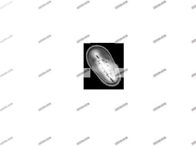 00593.webp
