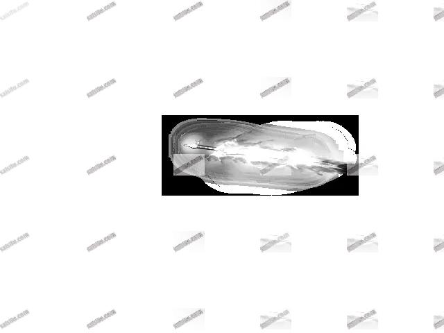00568.webp