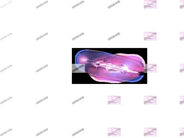 00016.webp