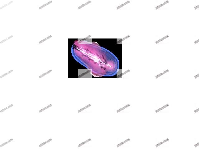 00056.webp