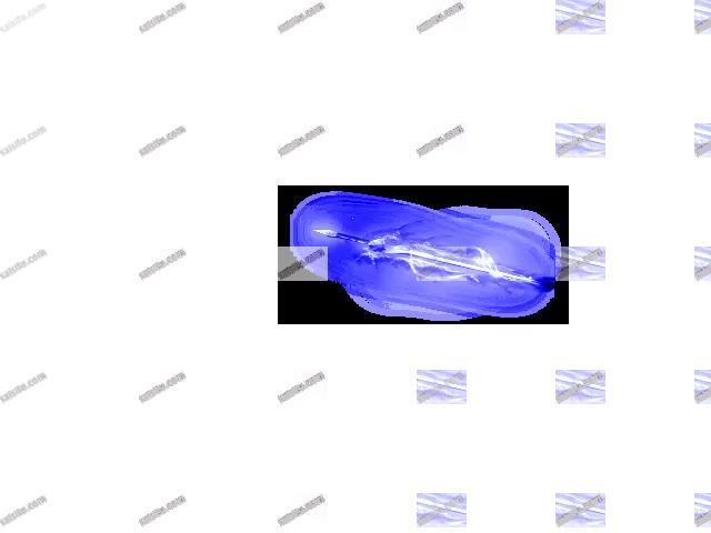 00016.webp