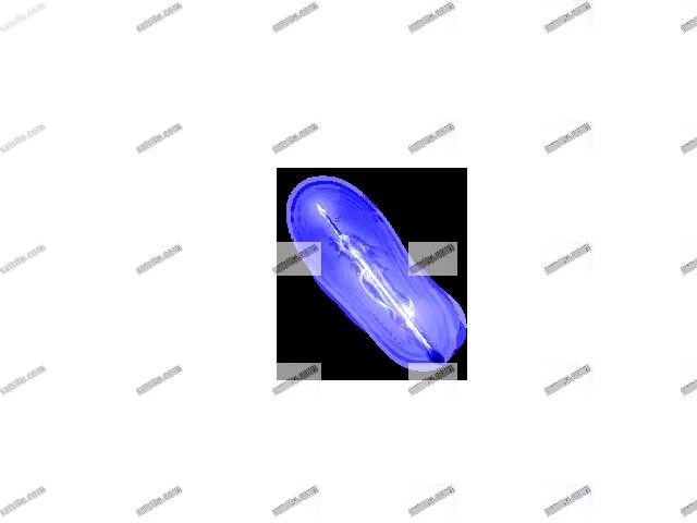 00088.webp