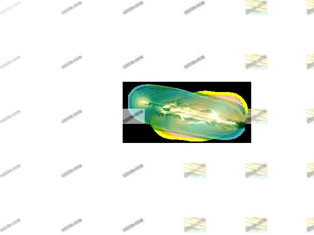 00016.webp