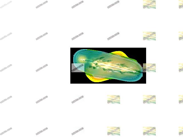 00080.webp