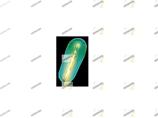 00101.webp
