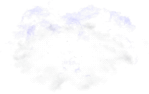 00007.webp