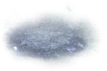 00009.webp