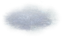 00010.webp