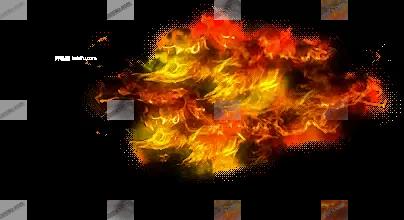 00005.webp