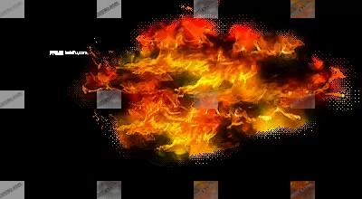 00007.webp