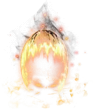 00019.webp