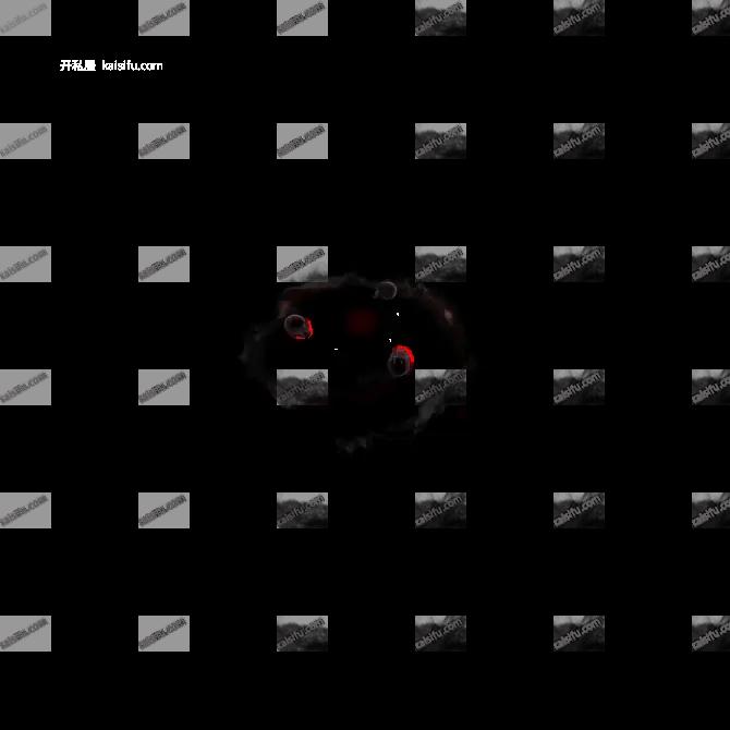 00006.webp