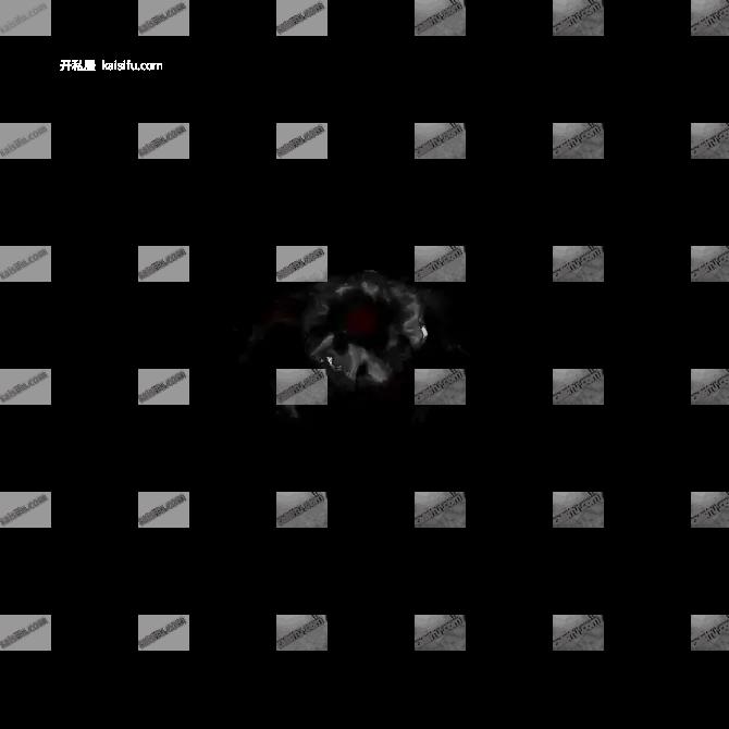00008.webp