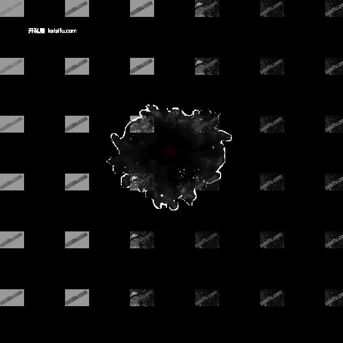 00011.webp