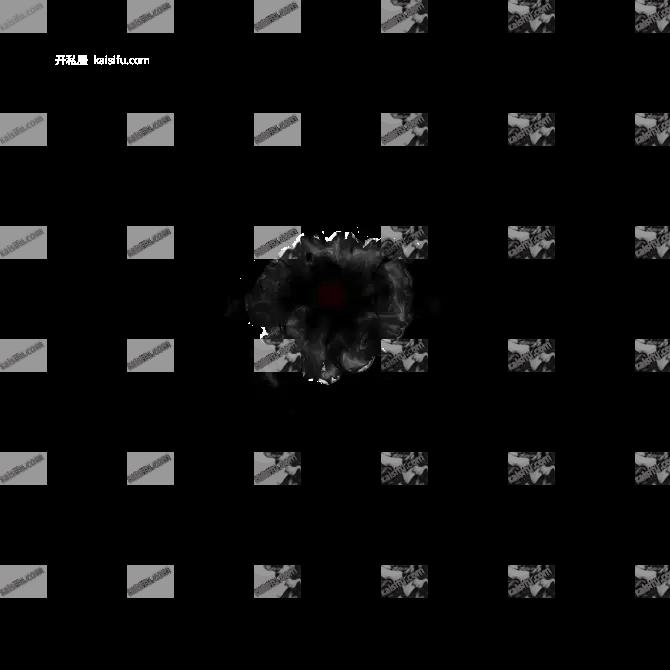 00009.webp