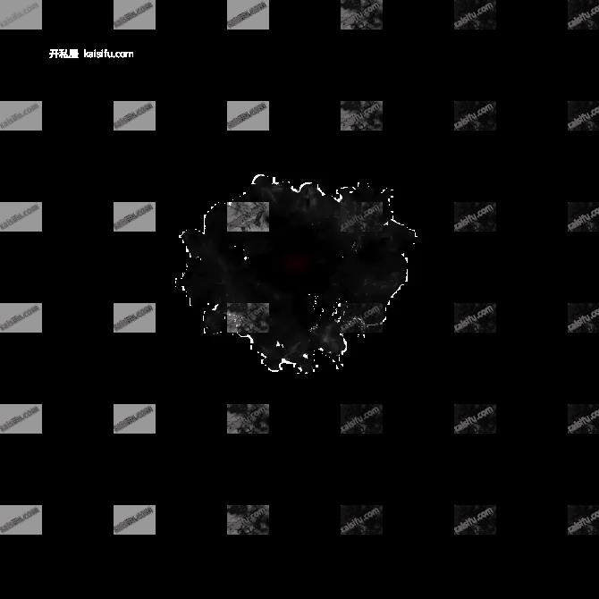 00012.webp