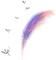 01410.webp